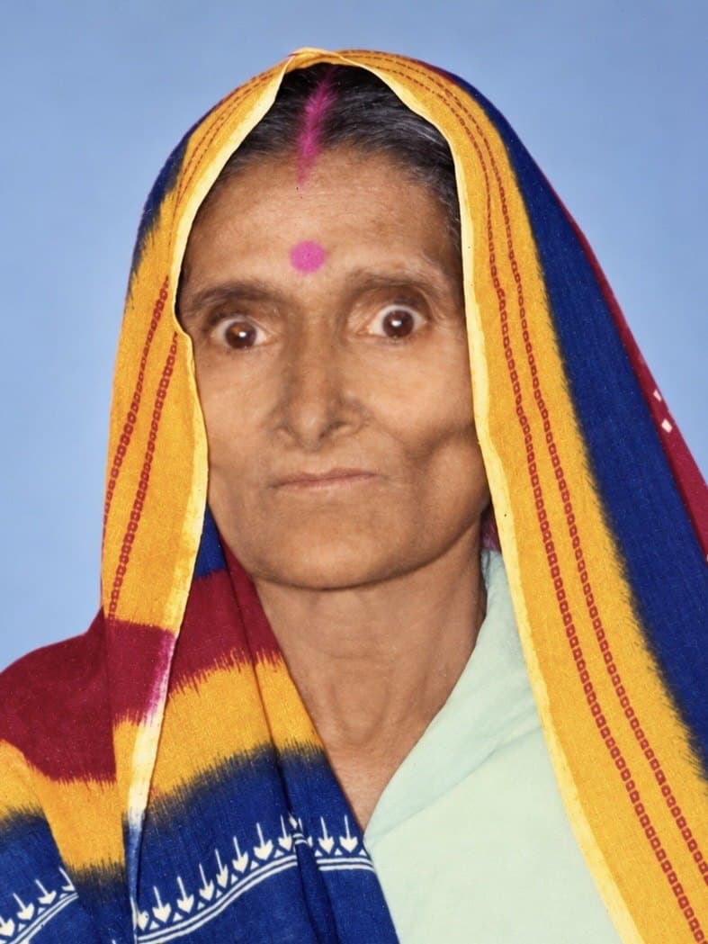 The photograph the example model was made from